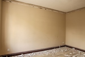 Spare Room Closet Factory