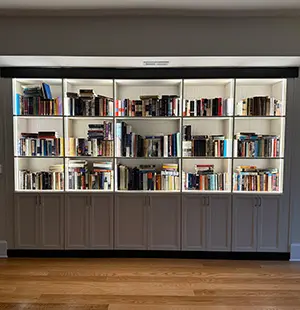 Built-in wall-to-wall bookcase with integrated lighting, showcasing a large collection of books and enclosed storage cabinets below