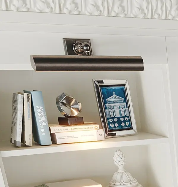 Book shelf with overhead library lighting