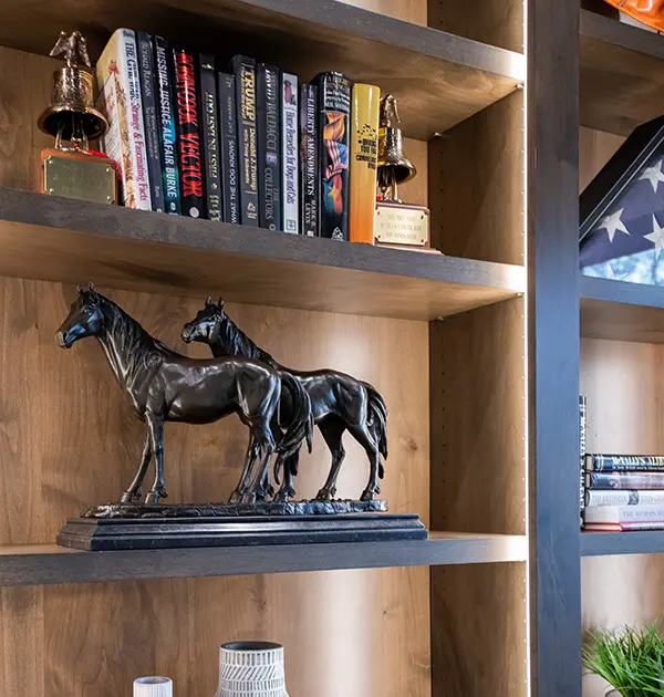 LED lighting strips in book case shelving